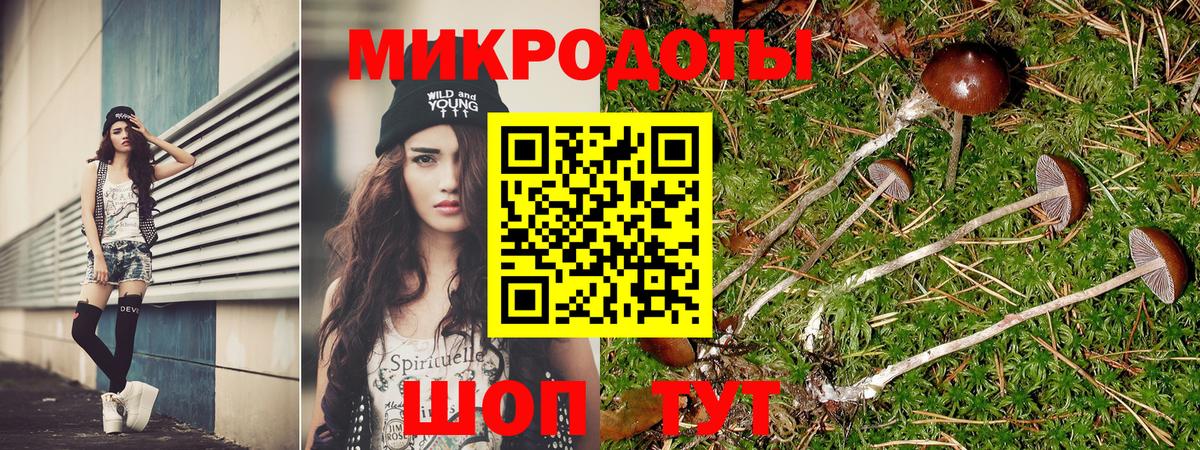 Галлюциногенные грибы MAGIC MUSHROOMS  Вход с VPN  Кулебаки 